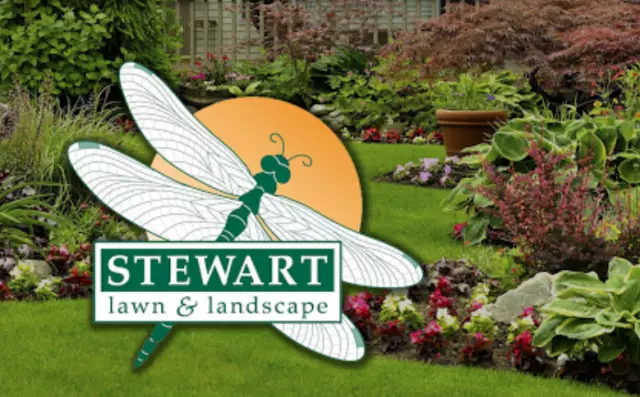 Stewart Lawn  Landscape