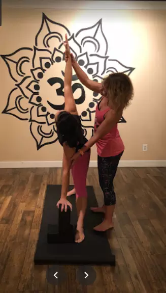 Brown Dog Yoga - Yoga  Barre  Cycle  Fusion