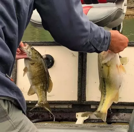 North Carolina Fishing