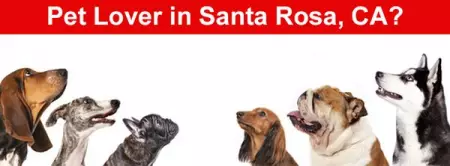 Santa Rosa pets client relationships and is looking forward continuing