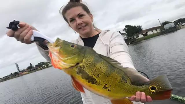 Colorado Springs Fishing