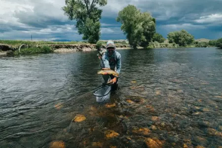 Denver Fishing dismantle all animal agriculture, research