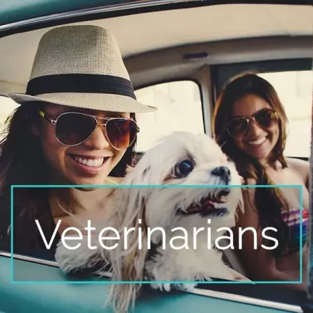 Find veterinarian jobs, find veterinarian team members, find each other...in