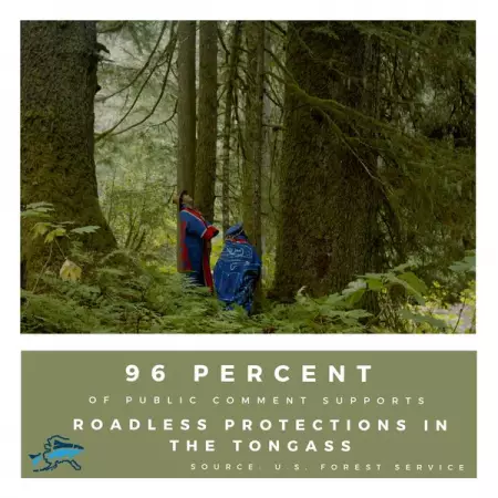 96 percent of comments support keeping the Tongass National Forest Roadl