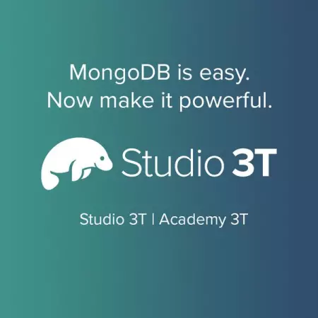 MongoDB is easy, Now make it powerful.
Download Studio 3T and enjoy fas
